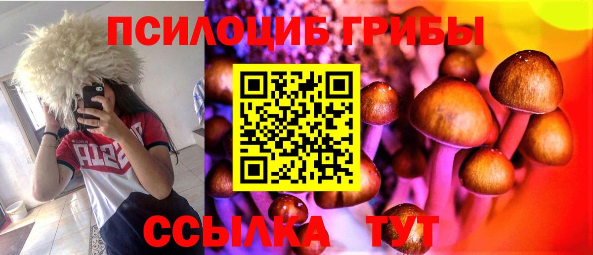 Урай  Псилоцибиновые грибы GOLDEN TEACHER  Вход с VPN 