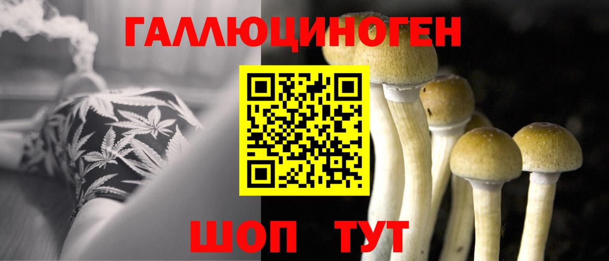 Галлюциногенные грибы прущие грибы Урай